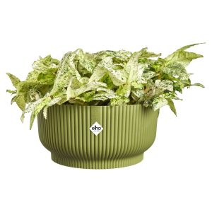 vibes fold bowl 25 vert fougère