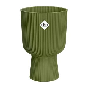 vibes fold coupe vert fougère