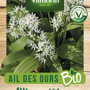 AIL DES OURS BIO