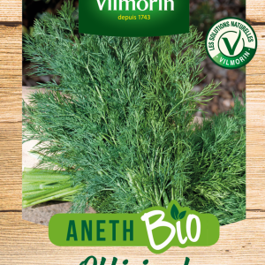 ANETH FEUILLAGE DENSE BIO