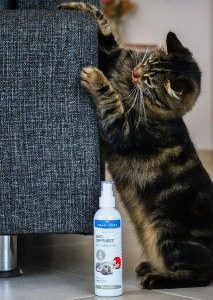ANTI-GRIFFURES POUR CHATON ET CHAT 200ml