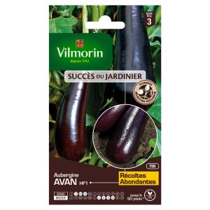 AUBERGINE AVAN HF1