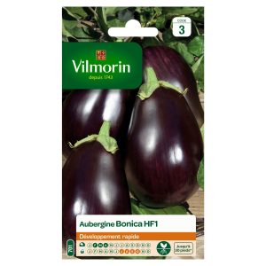 AUBERGINE BONICA HF1