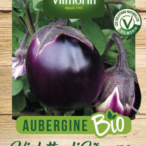 AUBERGINE VIOLETTA DI FIRENZE BIO