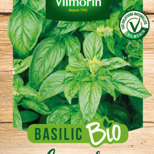 BASILIC GENOVESE BIO