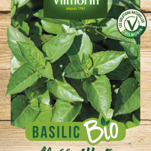 BASILIC MARSEILLAIS BIO