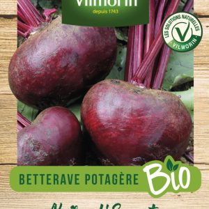 BETTERAVE EGYPTE BIO