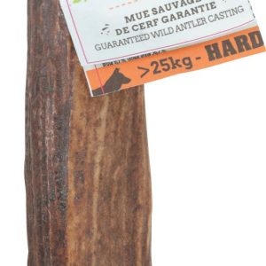 BOIS DE CERF ENTIER