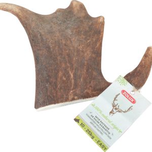 BOIS DE DAIM