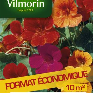 CAPUCINE GRANDE MIX GM