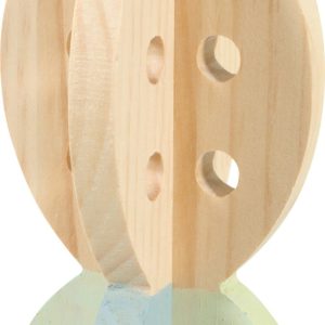 CAROTTE FRIANDISES BOIS COSY