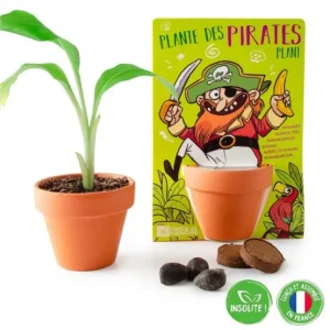 CARTE NATURE PIRATE BANANIER