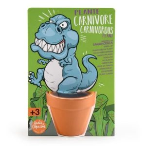 CARTE NATURE T REX CARNIVOR