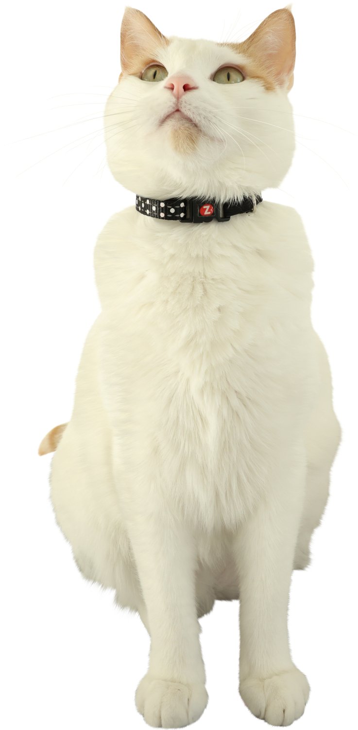 CHATOUILLE COLLIER SOURIS – Image 2