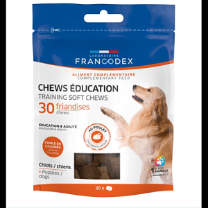 CHEWS EDUCATION 3G