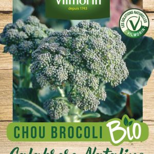 CHOU BROCOLI CALABABRESE NATALINO BIO