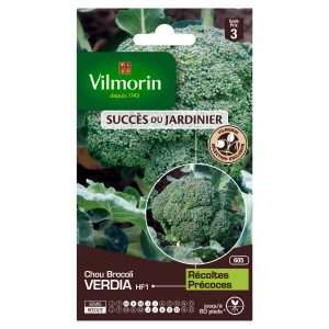 CHOU BROCOLI VERDIA HF1