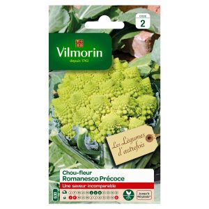 CHOU FLEUR ROMANESCO