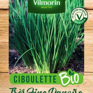 CIBOULETTE DANOISE BIO