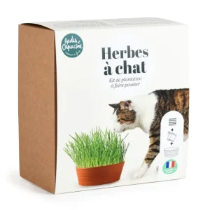COFFRET HERBE A CHAT