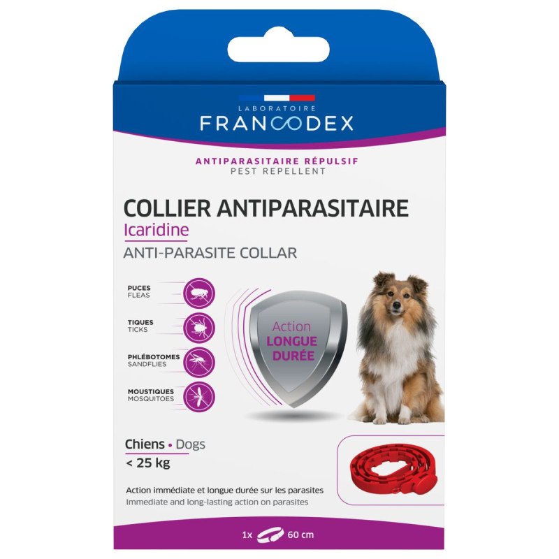 COLLIER ICARIDINE CHIEN