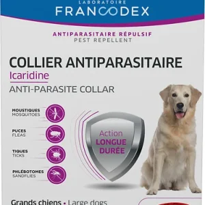 COLLIER ICARIDINE GRAND CHIEN