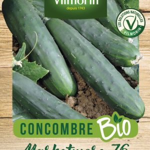 CONCOMBRE MARKETMORE BIO