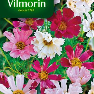 COSMOS ALDEBARAN MIX