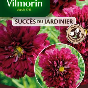 COSMOS DOUBLE CLIC CARMIN