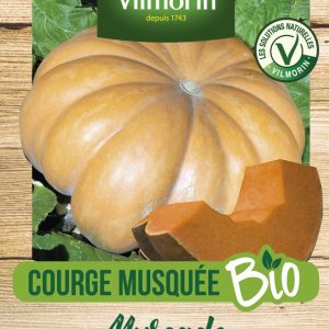 COURGE MUSQUE PROVENCE BIO