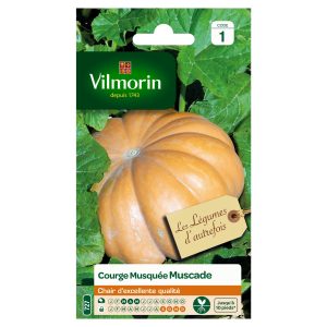 COURGE MUSQUEE PROVENCE