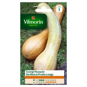 COURGE NICE FRUIT LONG