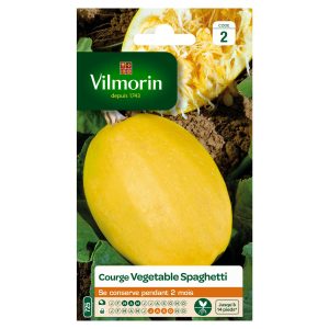 COURGE SPAGHETTI