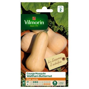 COURGE WALDHAM BUTTERNUT