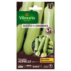COURGETTE ADRIELLE HF1