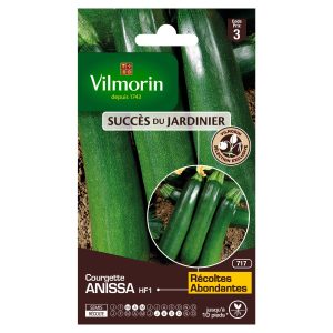 COURGETTE ANISSA HF1