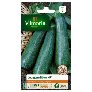 COURGETTE BELOR HF1