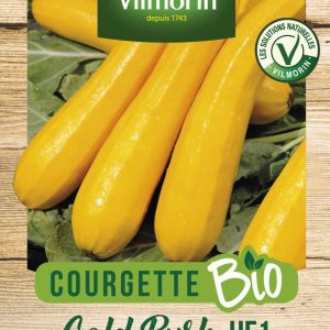 COURGETTE GOLD RUSH BIO