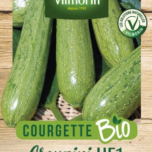 COURGETTE GREYZINI BIO
