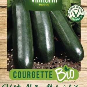 COURGETTE MARAICHERE BIO