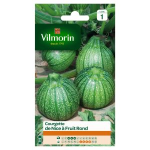 COURGETTE NICE FRUIT ROND