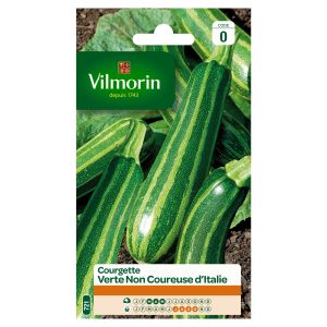 COURGETTE NON COUREUSE