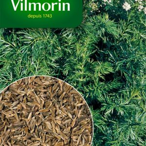 CUMIN DES PRES