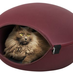 DOME CHAT LOUNA