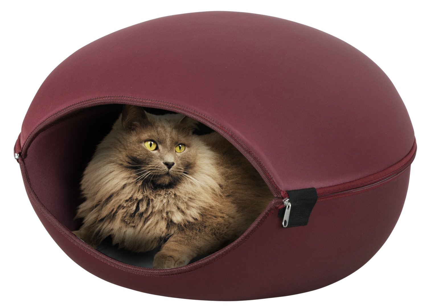DOME CHAT LOUNA