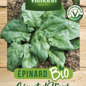 EPINARD GEANT HIVER BIO