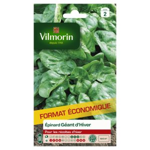 EPINARD GEANT HIVER GM