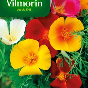 ESCHSCHOLTZIA CALIFORNIA MIX