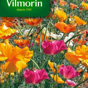 ESCHSCHOLTZIA CALIFORNIA POPPY