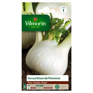 FENOUIL DOUX DE FLORENCE